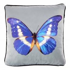 Butterfly Blue 45 x 45 Cushion Case